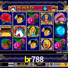 Seasonal Promotions br788